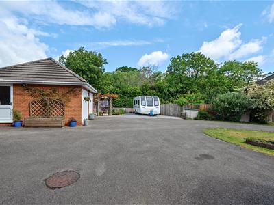 Picture 21